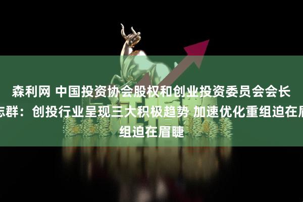 森利网 中国投资协会股权和创业投资委员会会长沈志群:创投行业呈现三大积极趋势 加速优化重组迫在眉睫